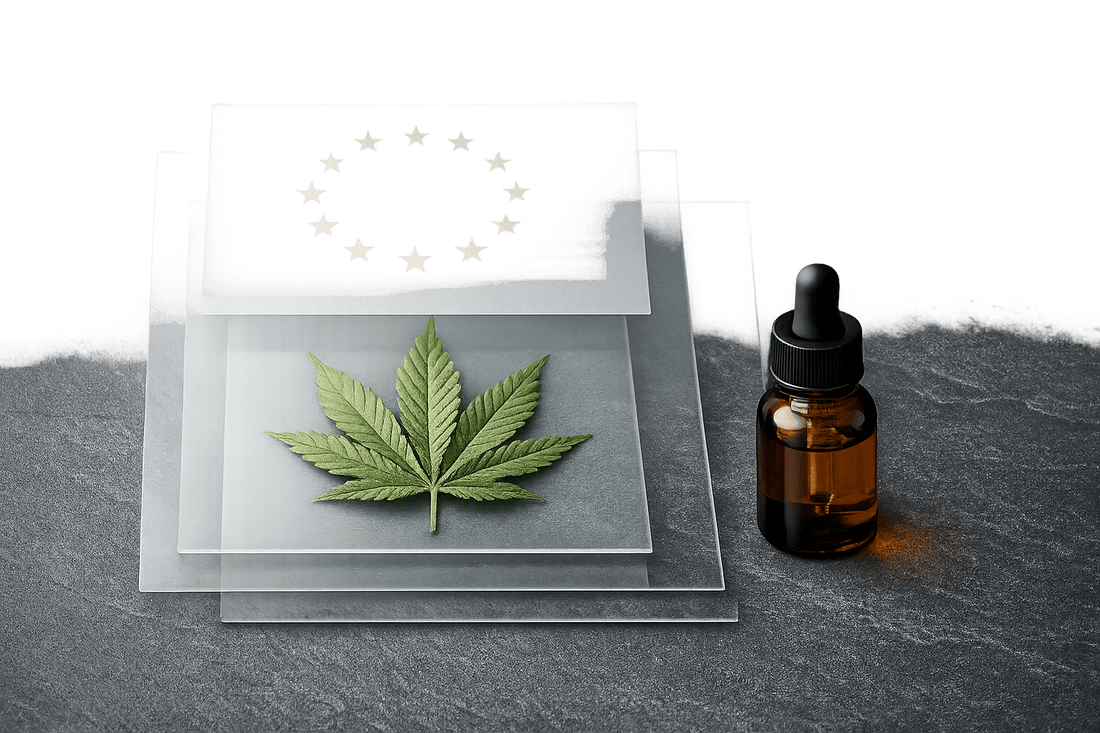 La nouvelle stratégie européenne antidrogue pourrait complexifier les lois sur le cannabis