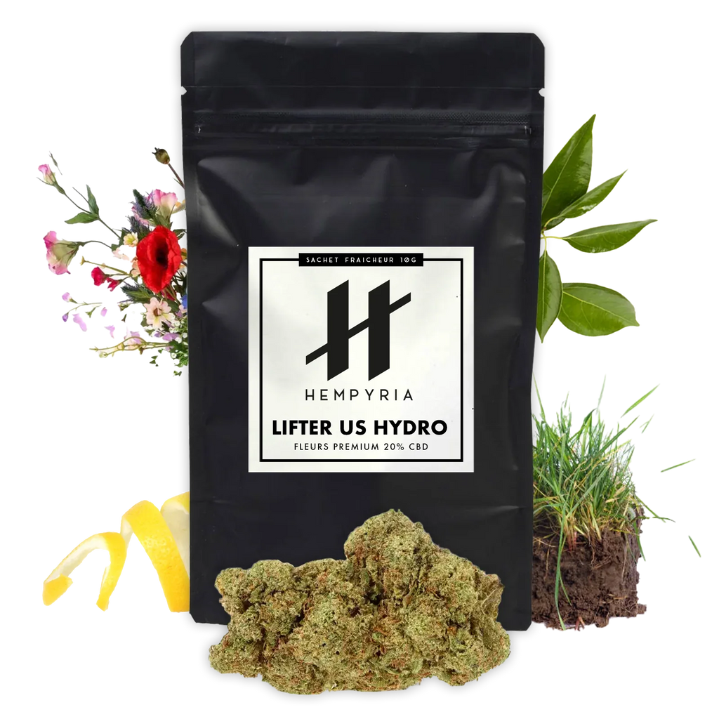 Fleur CBD – Lifter US Hydroponie 20% - 10G - Hempyria - CBD de qualité premium