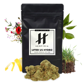 Fleur CBD – Lifter US Hydroponie 20% - 10G - Hempyria - CBD de qualité premium