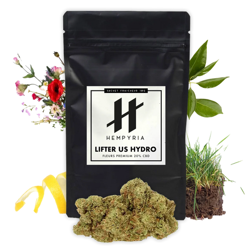 Fleur CBD – Lifter US Hydroponie 20% - 10G - Hempyria - CBD de qualité premium