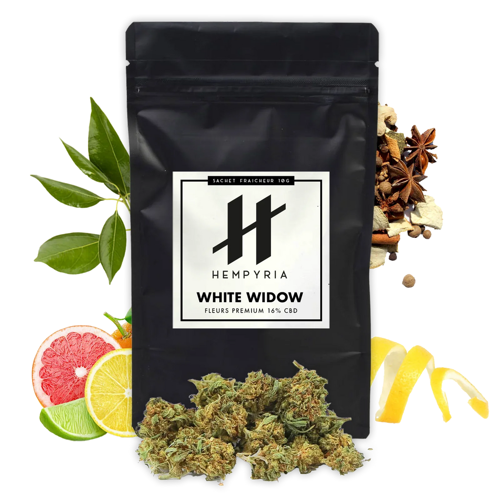 Fleur CBD – White Widow - Small buds 16% - 10G - Hempyria - CBD de qualité premium