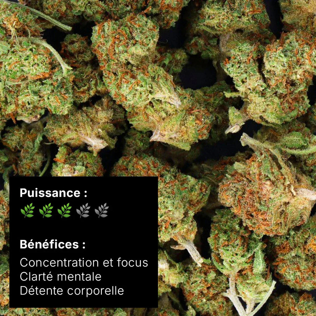 Fleur CBD – White Widow - Small buds 16% - 10G - Hempyria - CBD de qualité premium