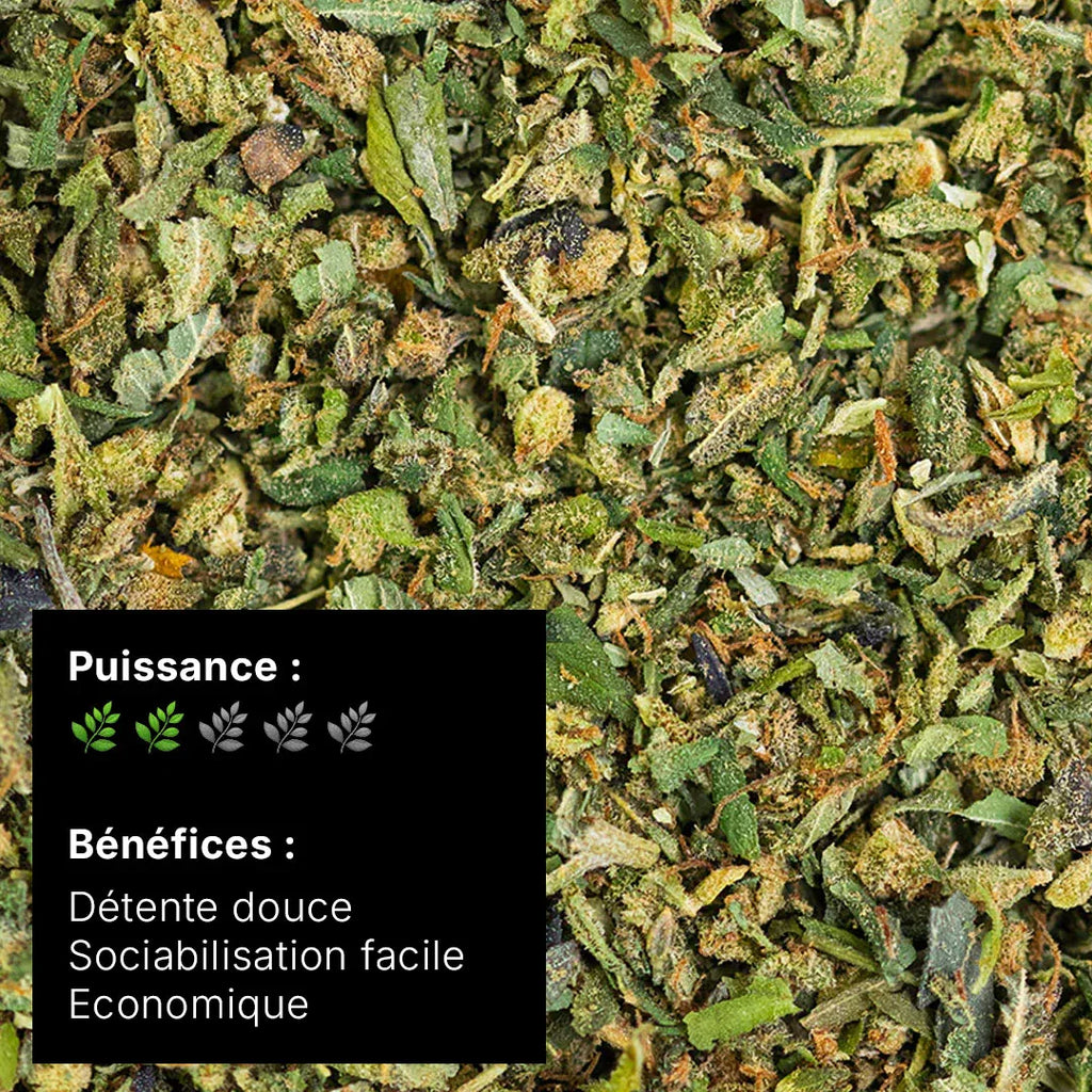 Fleur CBD – TRIM Premium Indoor 12% - 10G - Hempyria - CBD de qualité premium