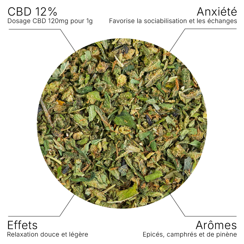 Fleur CBD – TRIM Premium Indoor 12% - 10G - Hempyria - CBD de qualité premium