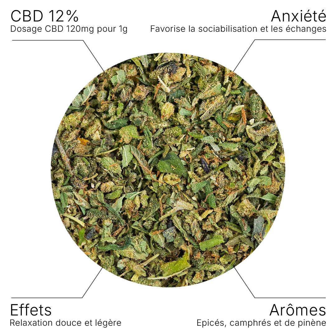 Fleur CBD – TRIM Premium Indoor 12% - 10G - Hempyria - CBD de qualité premium