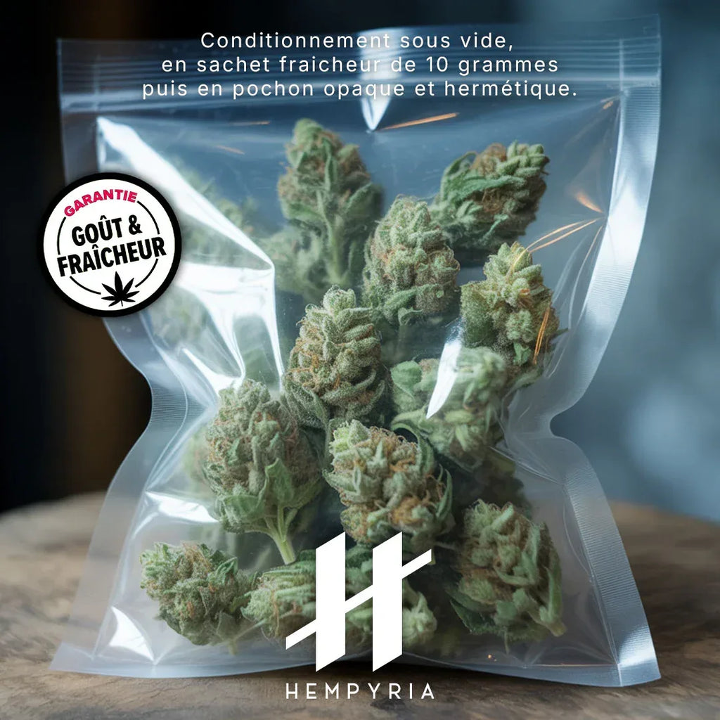 Fleur CBD – White Widow - Small buds 16% - 10G - Hempyria - CBD de qualité premium